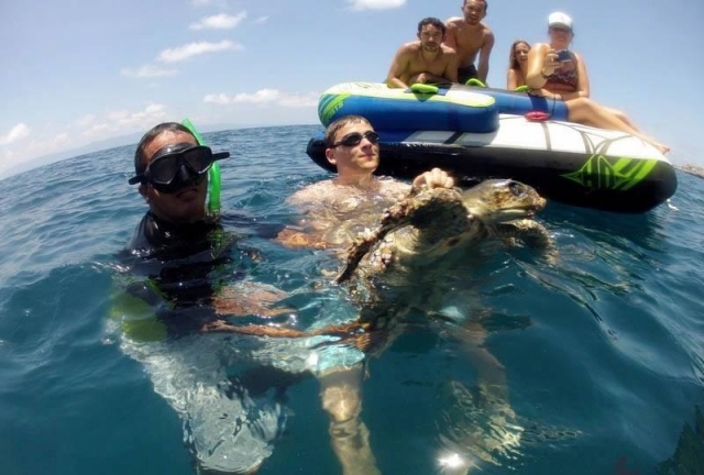 Snorkeling con le tartarughe
